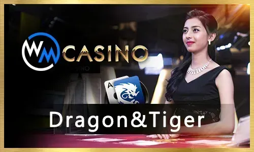239 Winph Live Casino